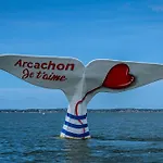 T2 Coeur De *